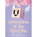 Adventures of the Flying Box