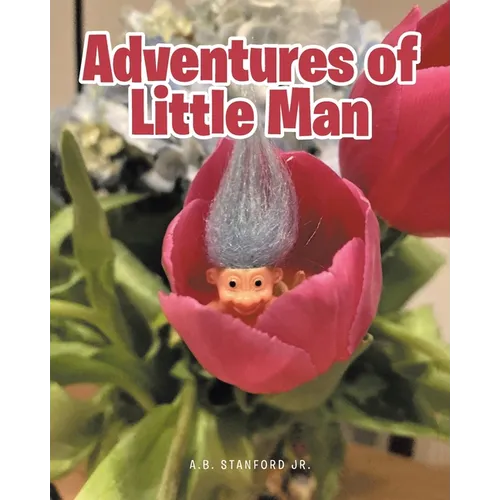 Adventures of Little Man