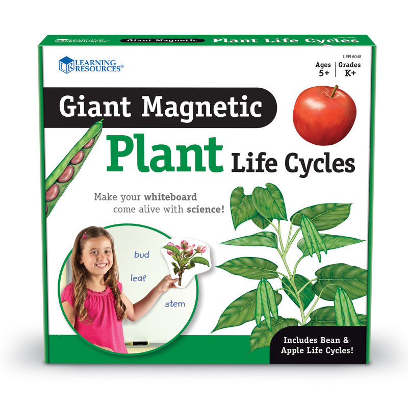GIANT MAGNETIC PLANT LIFE CYCLES