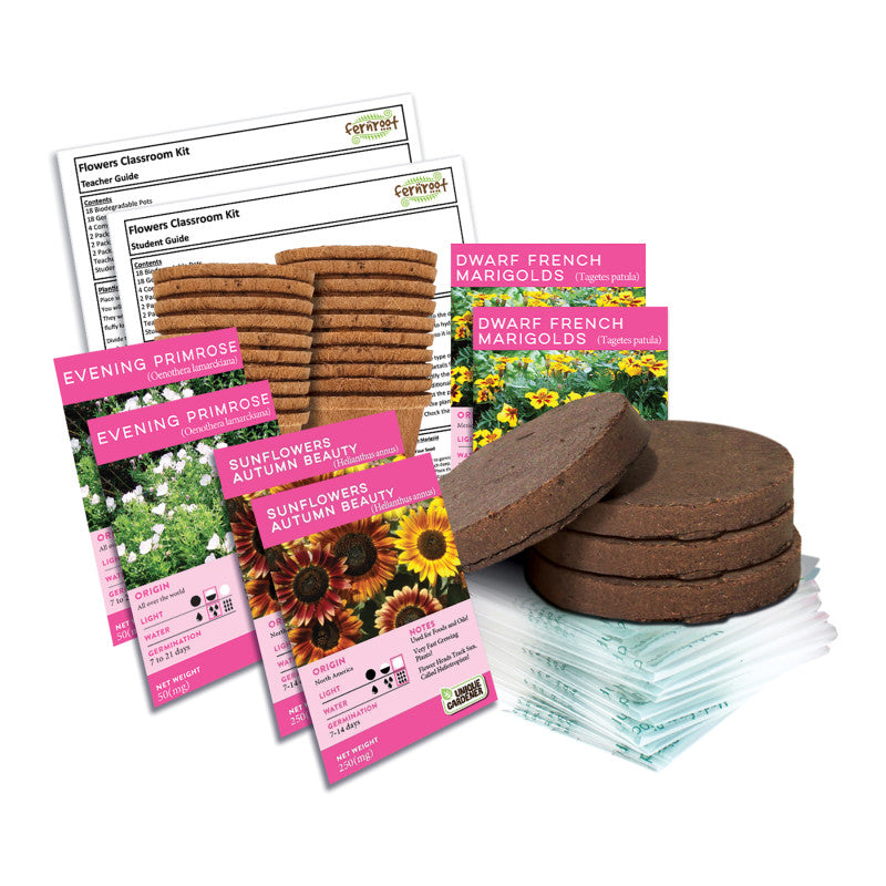 FLOWERS CLASSROOM KIT