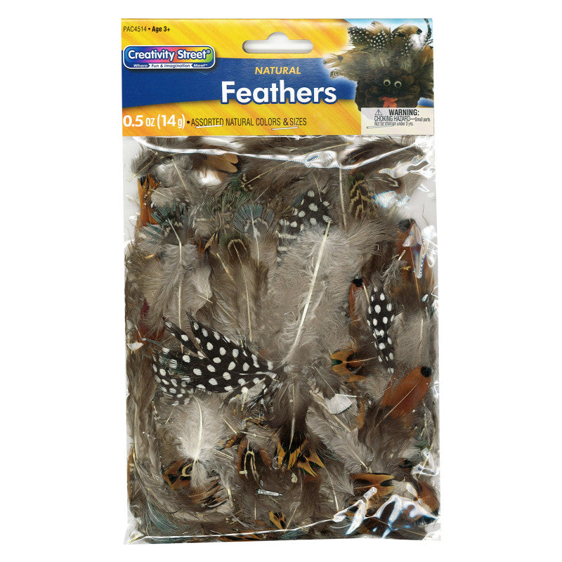 NATURAL FEATHERS ASSORTED COLORS