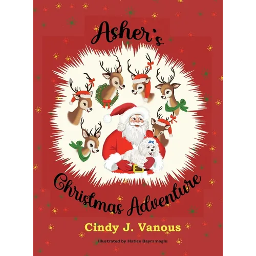 Asher's Christmas Adventure
