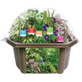 RAINFOREST BIOSPHERE