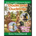 Ducks and Ducklings: Photos and Fun Facts for Kids