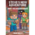 Steve's New Adventure Book 7: The Caravan of Misfits