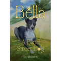Bella, the journey of A Blind Street Dog