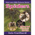 Spiders: Photos and Fun Facts for Kids