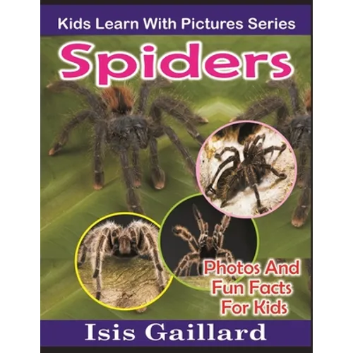 Spiders: Photos and Fun Facts for Kids
