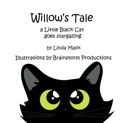 Willow's Tale: a Little Black Cat goes stargazing