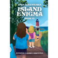 Island Enigma: A children's adventure book