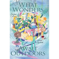 What Wonders Await Outdoors