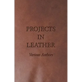Projects in Leather
