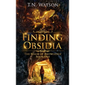 Finding Obsidia