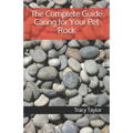 The Complete Guide Caring for Your Pet Rock