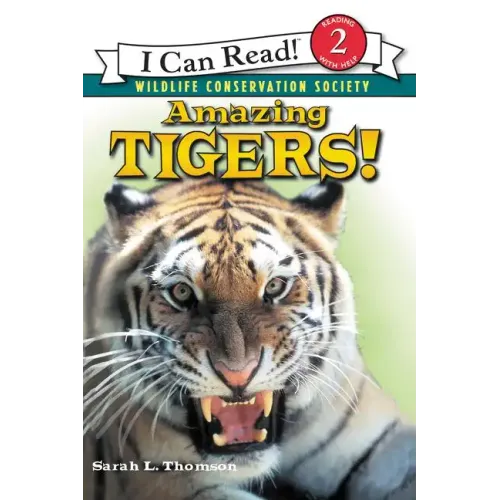 Amazing Tigers!
