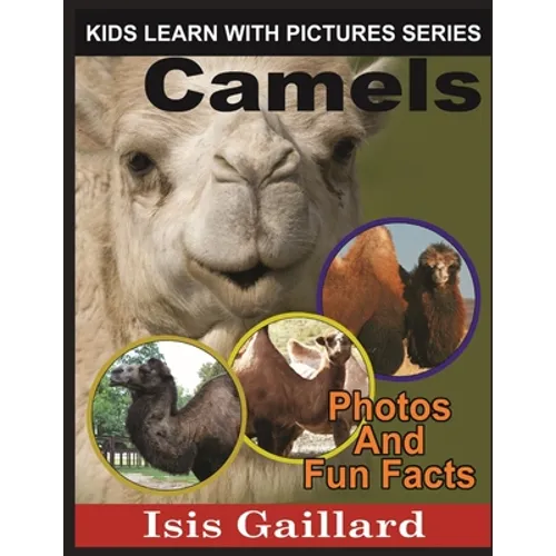 Camels: Photos and Fun Facts for Kids