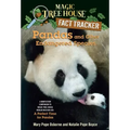 Pandas and Other Endangered Species: A Nonfiction Companion to Magic Tree House Merlin Mission #20: A Perfect Time for Pandas