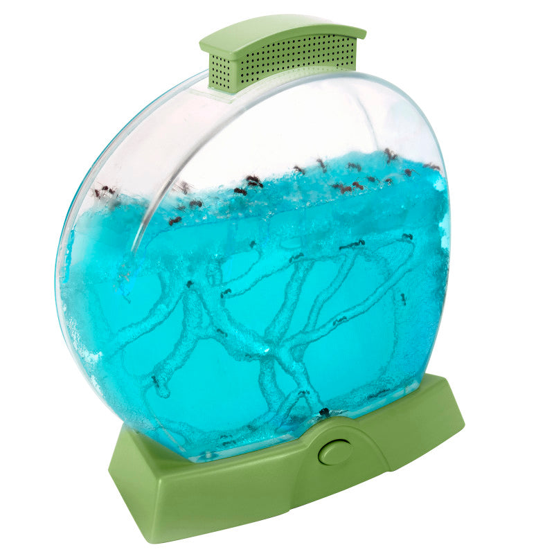 GEOSAFARI DAY N NIGHT ANT FARM