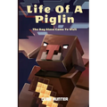 Life of a Piglin: The Day Steve Came To Visit