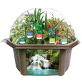 SENSORY BIOSPHERE