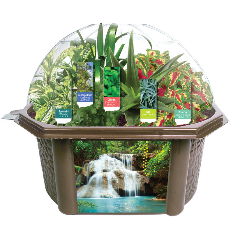 SENSORY BIOSPHERE