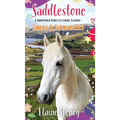 Saddlestone Connemara Pony Listening School Sinead and Strawberry