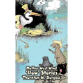 Mother West Wind 'How' Stories by Thornton Burgess, Fiction, Animals, Fantasy & Magic