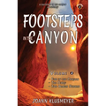 Fire in the Canyon and the Diary: A Footsteps in the Canyon Anthology