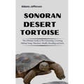 Sonoran Desert Tortoise