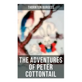 The Adventures of Peter Cottontail: Children's Bedtime Storybook