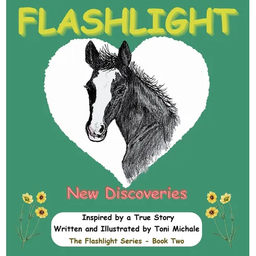 Flashlight - New Discoveries: Flashlight